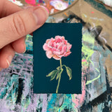 Pink Peony on Midnight Blue