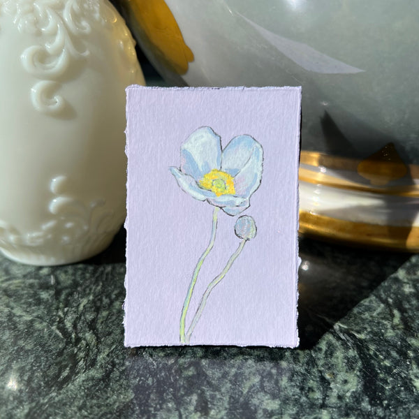 Frost White Poppy on Light Lavender