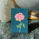 Pink Peony on Midnight Blue